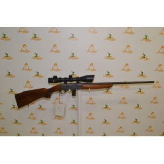 Anschutz Cal. 22 + Visor Arcea